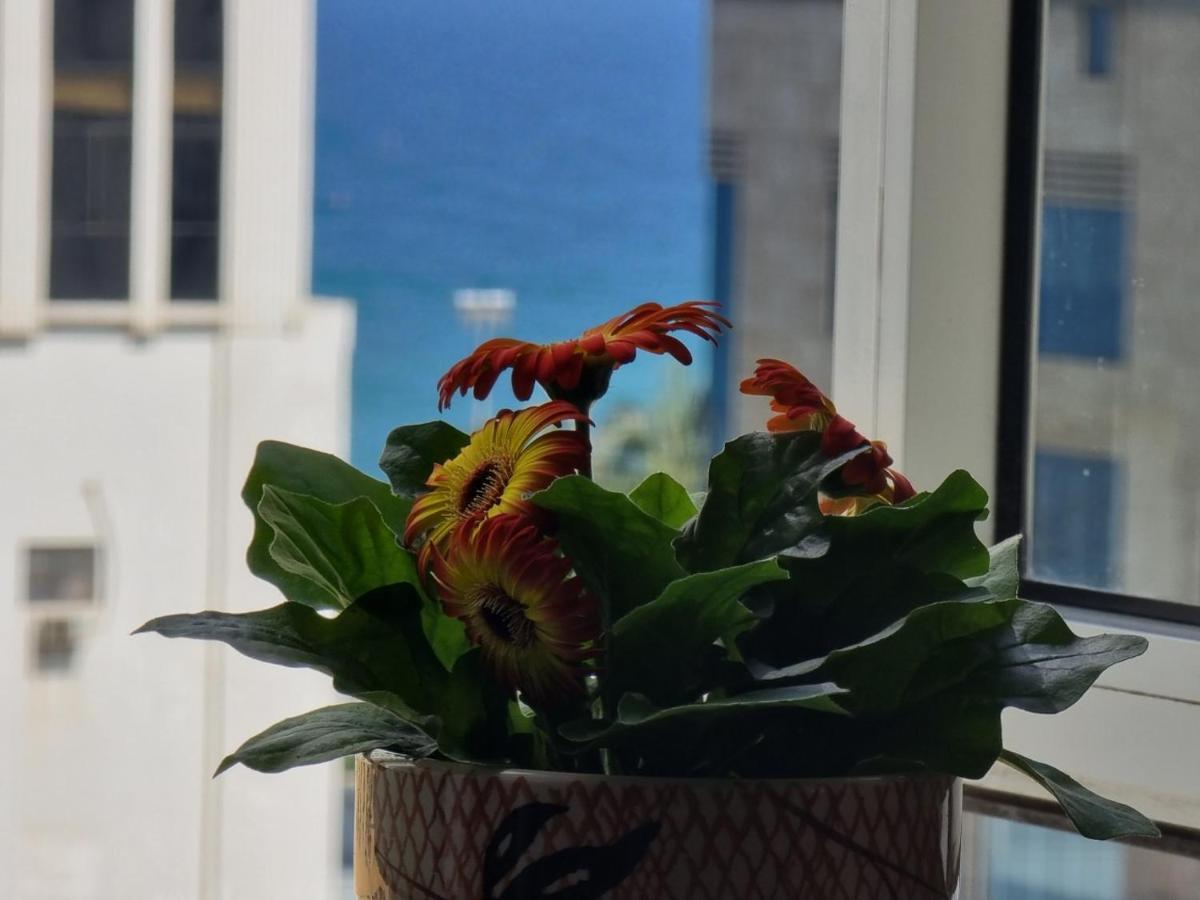 Delicate Serviced Apartment And Hotel 다낭 외부 사진
